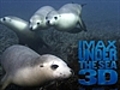 SA s underwater world | BahVideo.com