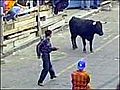 Bull Run Gone Bad | BahVideo.com
