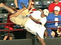 Texas Rangers Fan Dies After Trying to Catch Ball | BahVideo.com