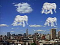Elephants In The Clouds | BahVideo.com