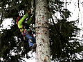 Heli-Loggers Breaking In The Greenhorn | BahVideo.com