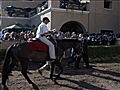 Players Network - Breeder s Cup Picks | BahVideo.com