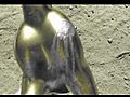gold calf avi | BahVideo.com