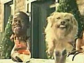 Pepsi-Cola - Pepsi You re a Dog | BahVideo.com