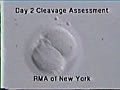 The IVF Lab | BahVideo.com