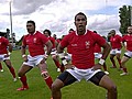 2011 Churchill Cup Tonga s haka | BahVideo.com