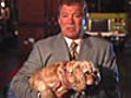 William Shatner Natural Disasters PSA | BahVideo.com