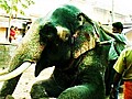 Elephant Massage | BahVideo.com