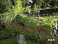 Pr sentation du jardin japonais de Takano | BahVideo.com