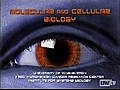 Trey Powers PhD Molecular and Cellular Biology Program | BahVideo.com