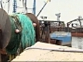 Fishermen plan to protest Obama s policies | BahVideo.com
