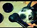 Cookie Bone  | BahVideo.com