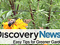 Earth Easy Tips for Greener Gardens | BahVideo.com