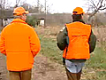 Kentucky Rabbit Hunting | BahVideo.com