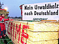 Urwald zu Kleinholz | BahVideo.com