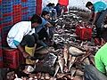 Recession hits fish export business in Gujarat | BahVideo.com