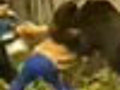 Woman escapes claws of bear | BahVideo.com