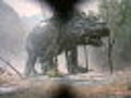 The Last Dinosaur - Available Now on DVD | BahVideo.com