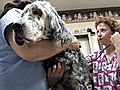 Dog Dementia | BahVideo.com