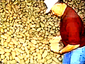 Potato Farmer Poetry | BahVideo.com
