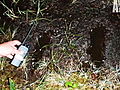 Finding Bigfoot The Bigfoot Lottery | BahVideo.com