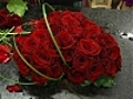 R aliser un coeur de roses rouges | BahVideo.com