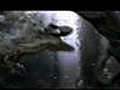 Spinosaurus Vs Tyranosaurus Rex Spino kills T-Rex  | BahVideo.com