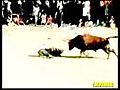Killer-bull | BahVideo.com