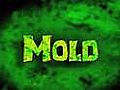 How to Keep Mold Out of Your House | BahVideo.com