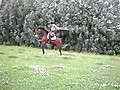 Rope Jumping Horse | BahVideo.com