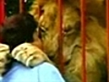 A lion hugs his rescuer | BahVideo.com