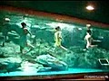 akvaryumdaki kizlar | BahVideo.com