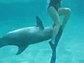 Girlfriend Gets Harassed By Dolphin | BahVideo.com