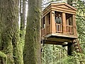 Tree houses get tricked out | BahVideo.com