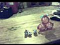 my new hamster triplets | BahVideo.com