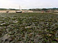 Scilly spring tide | BahVideo.com