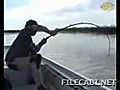 Gr ter Katzenfisch der Welt gefangen flv | BahVideo.com