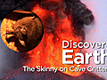 Earth The Skinny On Cave Critters | BahVideo.com