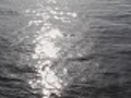 Water surface of ocean with star glow | BahVideo.com