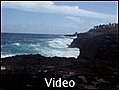 Turtle and Shark - Tafuna American Samoa | BahVideo.com
