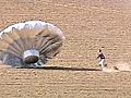 RAW VIDEO Runaway balloon in Colorado | BahVideo.com