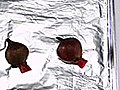 How to Roast Beets | BahVideo.com