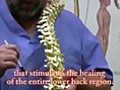 Lower Back Pain Sports Injuies Trauma Self  | BahVideo.com