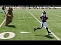 Old Spice Bear starring NFL Superperson Ray Lewis | BahVideo.com