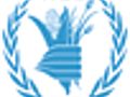 WFP completes DRC airdrops | BahVideo.com
