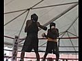 Amateur boxing tournament in Norfolk | BahVideo.com