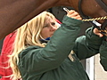 Horse trainer defies odds | BahVideo.com