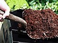 How to create and use compost in your garden | BahVideo.com