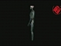 Anatomie de l appareil uro-g nital m le | BahVideo.com
