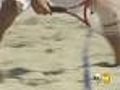 Beach Tennis | BahVideo.com